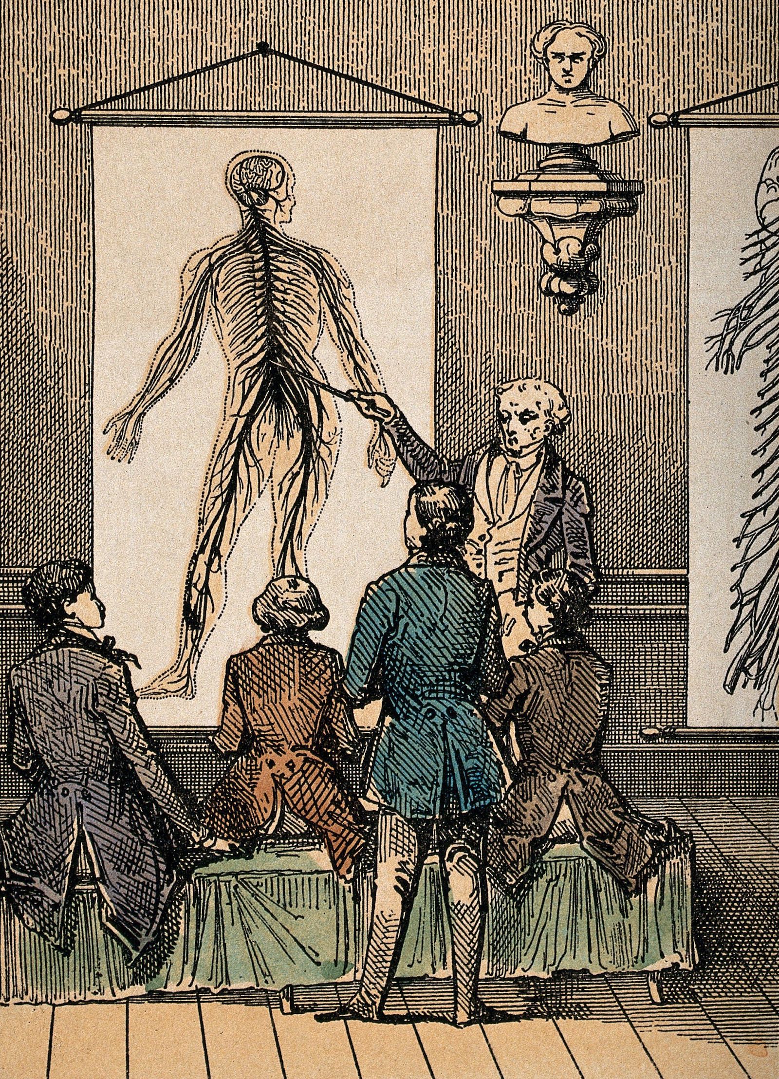 A lecture on the nervous system, by C. Bethmont, c.1860. Wellcome Collection. Public Domain.