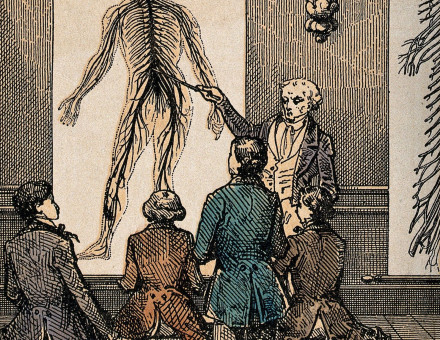 A lecture on the nervous system, by C. Bethmont, c.1860. Wellcome Collection. Public Domain.